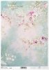 Shabby Chic, tło, tapeta, akwarela, pastelowe róże * Shabby Chic, background, wallpaper, watercolour, pastel roses